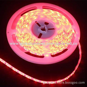 Red Color Flexible LED Strip with 60 Pieces of 5050 SMD LEDs/Meter
